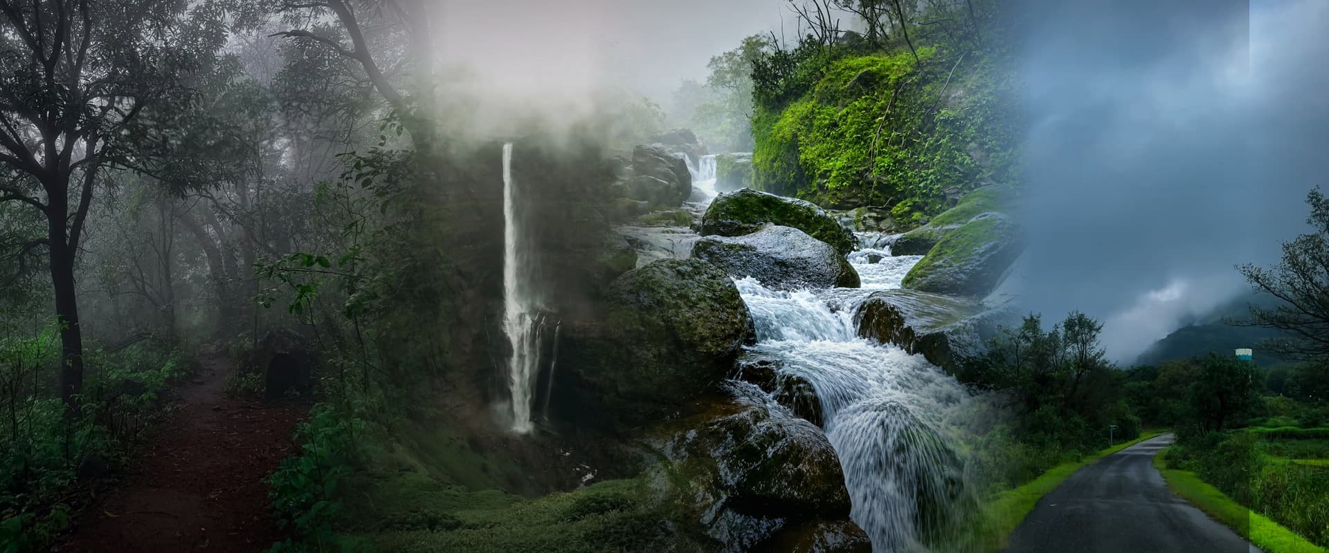 Aadrai Jungle Trek | Mumbai